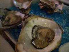 -Bamboo Bar & Grill Restaurant