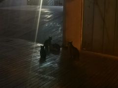 -JUKEBOX玖部音乐餐厅(华侨城店)