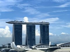 -新加坡瑞士史丹福酒店