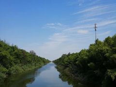 -黄海国家森林公园