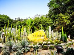 -深圳仙湖植物园