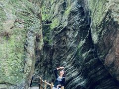 -牛背梁国家森林公园