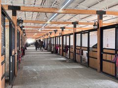 -北京群众马术培训基地