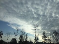 -三圣花乡旅游区