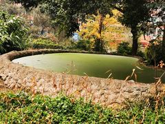 -成都市活水公园