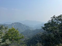 -大岭沟猕猴桃谷风景区