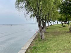 -阳澄湖半岛旅游度假区