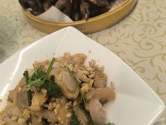 -百利鸽王(紫薇路店)