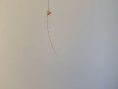 -韩国利尔面包(桂林路店)