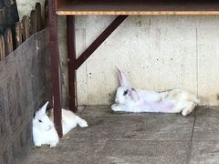 -诸暨同方豪生大酒店