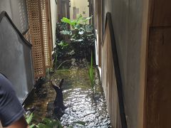 -邈墨茶馆(凤起路店)