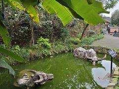 -燊海井