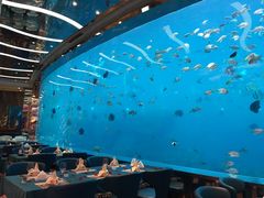 -瑞德姆美人鱼海底演艺主题餐厅(亚龙湾店)