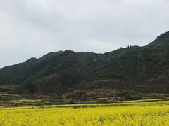 -江湾牛蹄馆