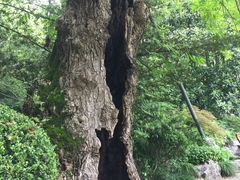 -汇龙潭