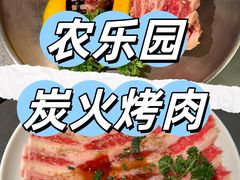 -农乐园炭火烤肉(繁花中心店)
