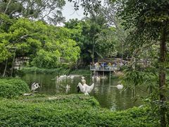-深圳野生动物园