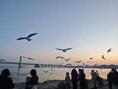 -星海广场
