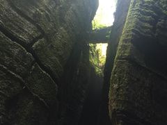 -梦幻奥陶纪景区