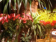 -春暖花开(西溪店)