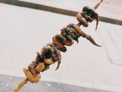 -十里铺铁板鱿鱼