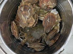-仙螺岛海鲜自助餐厅(总店)