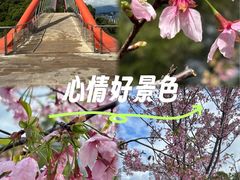 -金鸡山公园