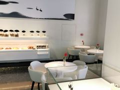 -BLACKSWAN黑天鹅(环球店)