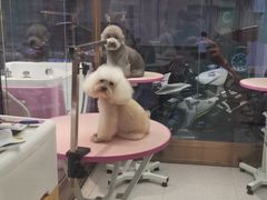 -FAELING PETS美天灵宠物(富力广场店)