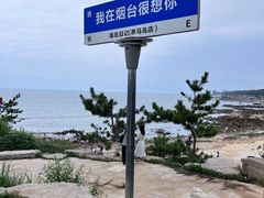 -养马岛旅游度假区