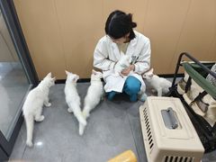 -贝利宠物医院·骨科·眼科·肿瘤转诊中心(南坪诊疗中心)