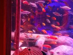 -沈阳海洋探索中心