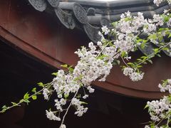 -韬光茶庵