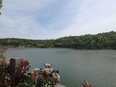 -中国西峡恐龙遗迹园