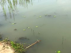 -钟山体育运动公园