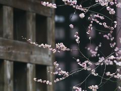 -成都杜甫草堂博物馆