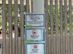 -昂坪360缆车