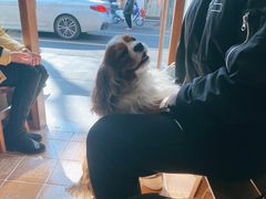 -Radar Coffee(思南路店)