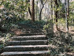 -杭州植物园