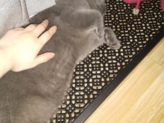 -壹人壹像工作室(购物公园店)