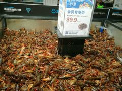 -盒马鲜生(曜一城店)
