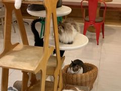 -10 corso como (江南店)