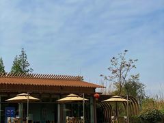 -桤木河湿地公园