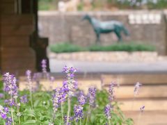 -静之湖湖畔餐厅