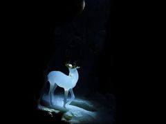 -深圳珠宝博物馆