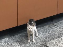 -南桂路(地铁站)