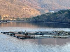 -徂徕山森林康养度假谷温泉