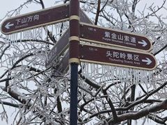 -紫金山山顶公园