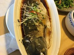 -隐山栖(鸿泰佳园店)