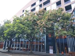 -松山湖凯悦酒店·Café自助餐厅·周末火舞秀表演